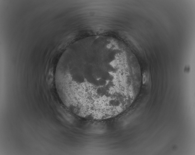 X0000094461011200711211536