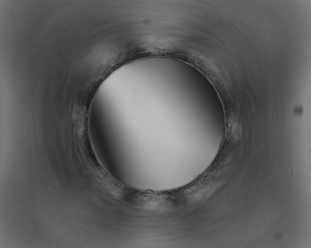 X0000094461012200711211536