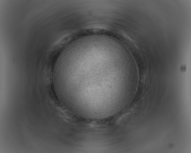 X0000094461014200711211536
