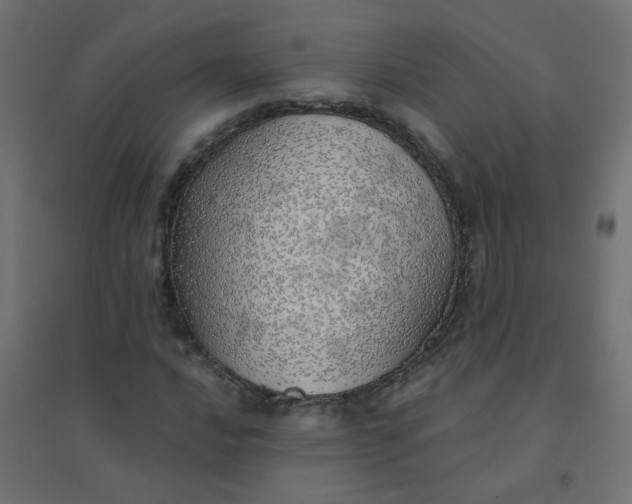 X0000094461016200711211536