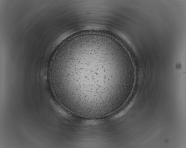X0000094461017200711211536
