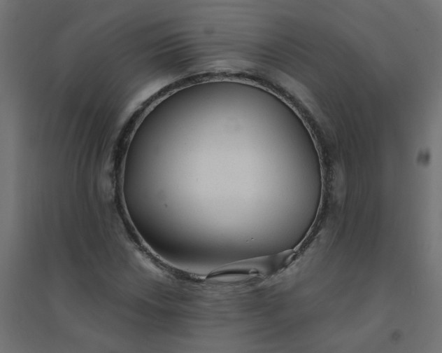 X0000094461018200711211536