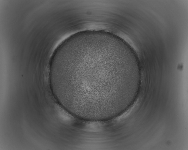 X0000094461021200711211536