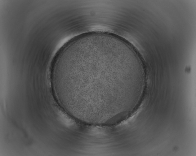 X0000094461022200711211536