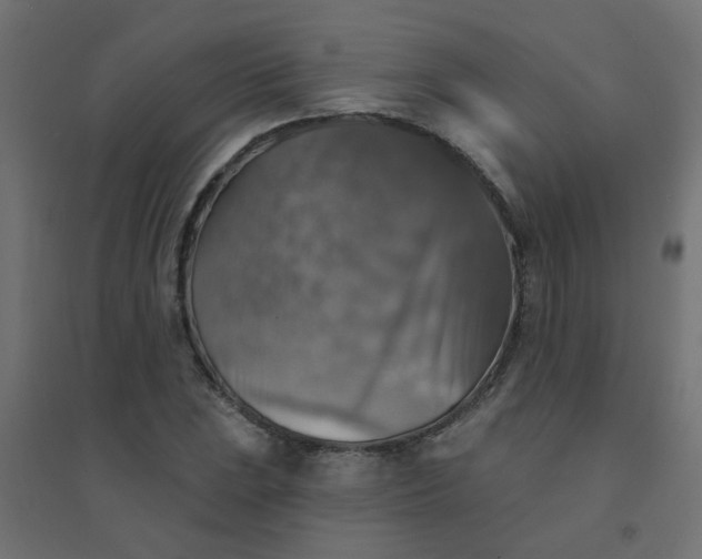 X0000094461023200711211536