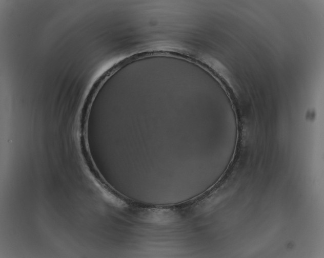 X0000094461024200711211536