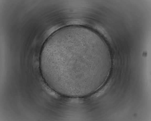 X0000094461025200711211536