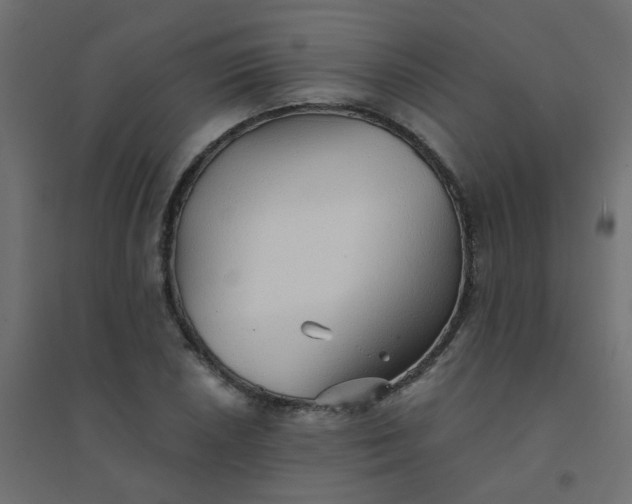 X0000094461026200711211536