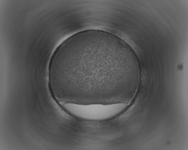 X0000094461028200711211536
