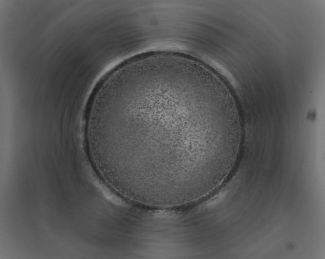 X0000094461029200711211536