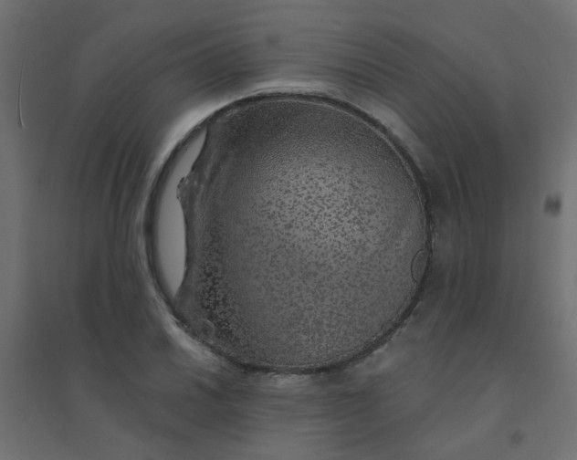 X0000094461030200711211536