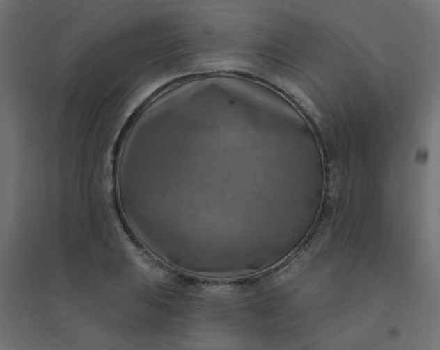 X0000094461031200711211536