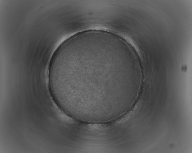 X0000094461032200711211536