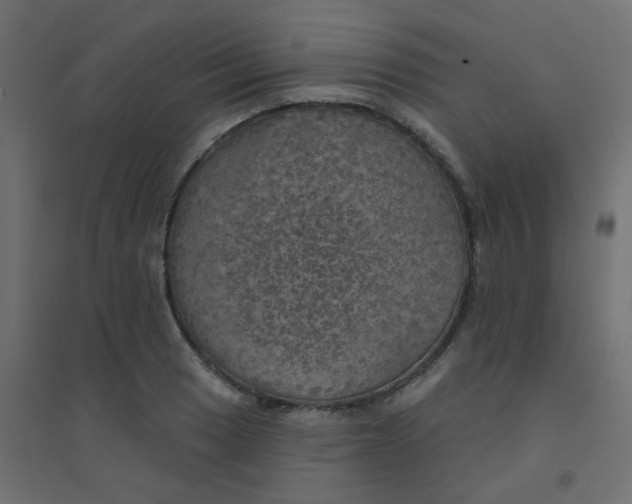 X0000094461033200711211536