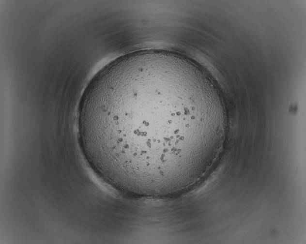 X0000094461034200711211536