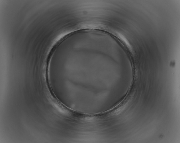 X0000094461035200711211536