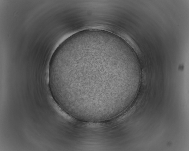 X0000094461036200711211536