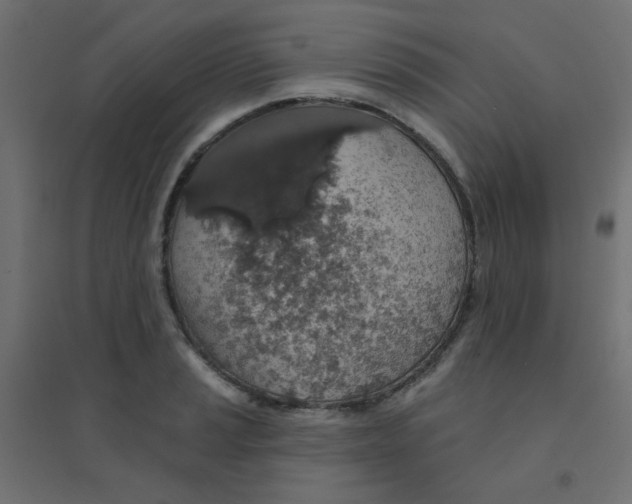 X0000094461037200711211536