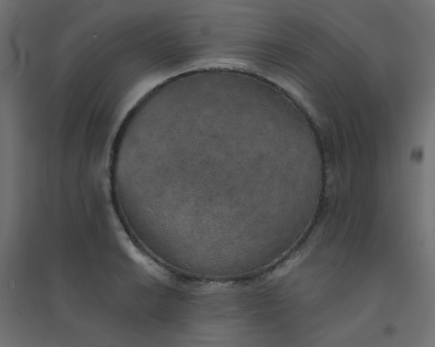 X0000094461038200711211536