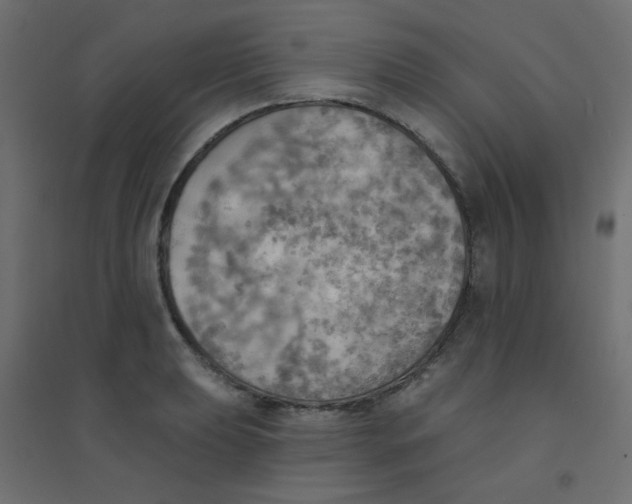 X0000094461039200711211536