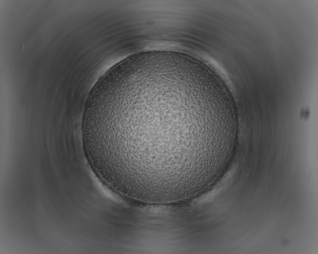 X0000094461041200711211536