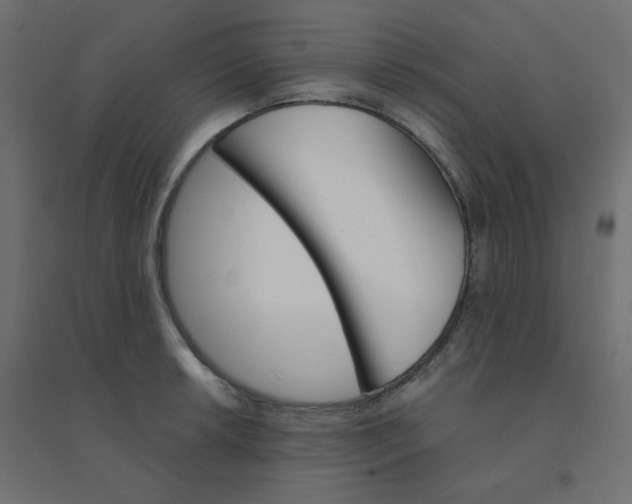 X0000094461042200711211536