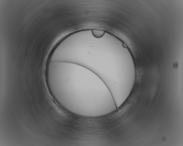 X0000094461043200711211536