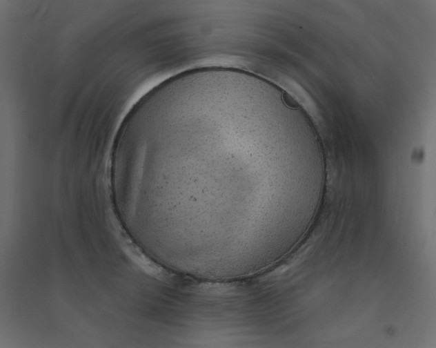 X0000094461044200711211536