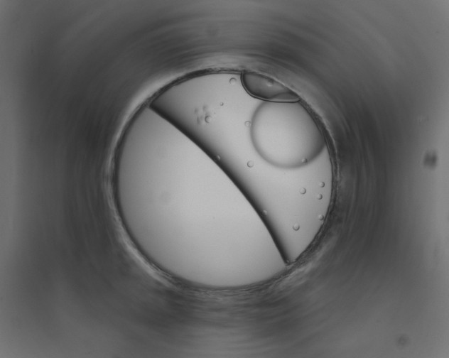 X0000094461045200711211536