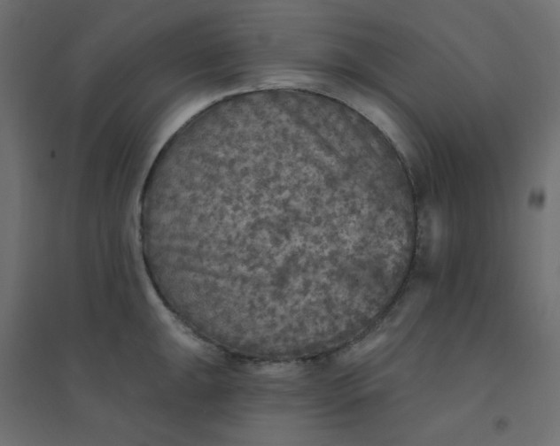 X0000094461047200711211536