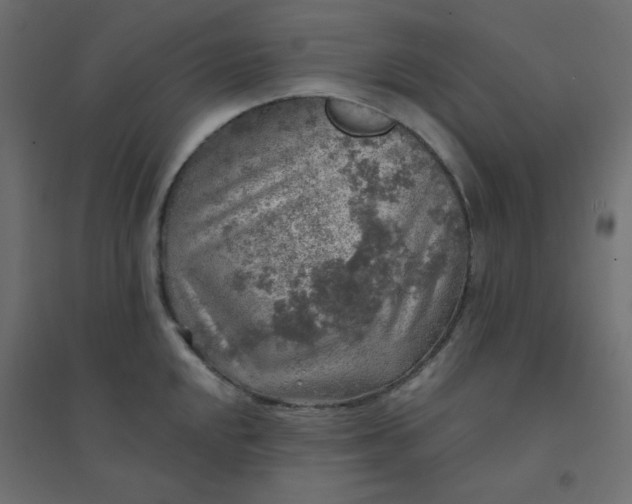 X0000094461048200711211536