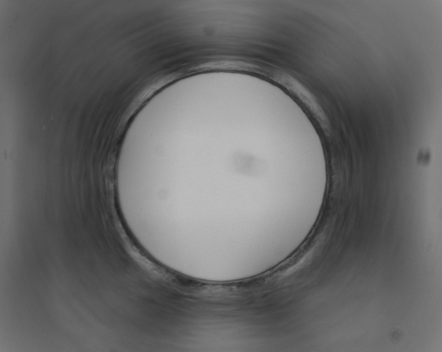 X0000094461049200711211536
