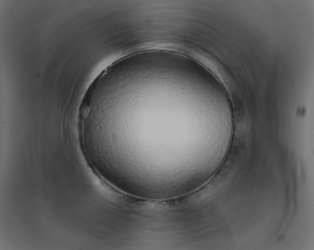 X0000094461050200711211536