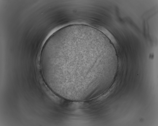 X0000094461052200711211536