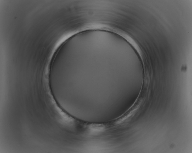 X0000094461053200711211536