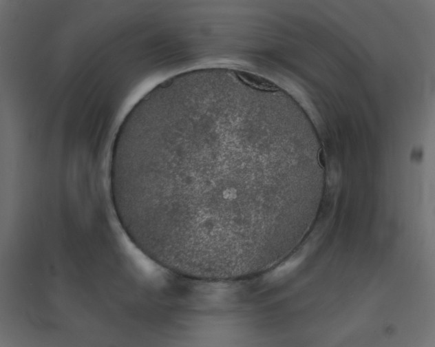 X0000094461054200711211536