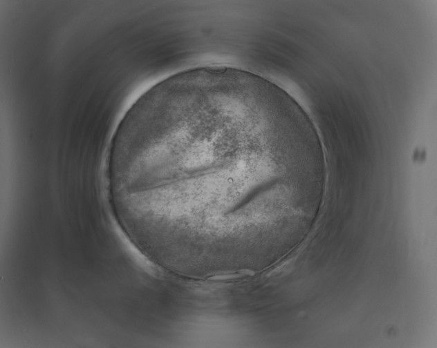 X0000094461056200711211536