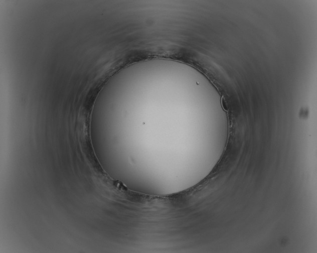 X0000094461058200711211536
