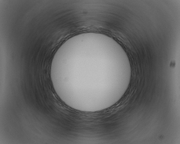X0000094461060200711211536