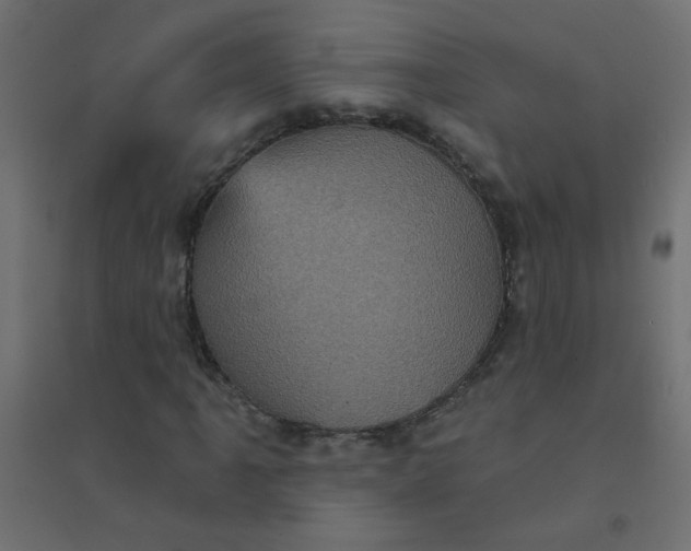 X0000094461061200711211536