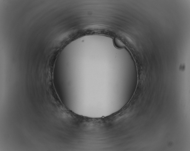 X0000094461062200711211536