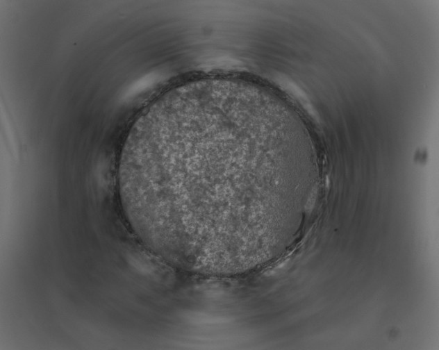 X0000094461063200711211536