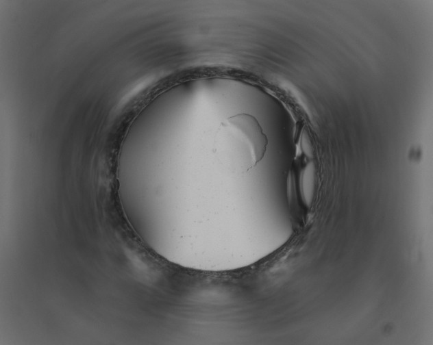 X0000094461064200711211535