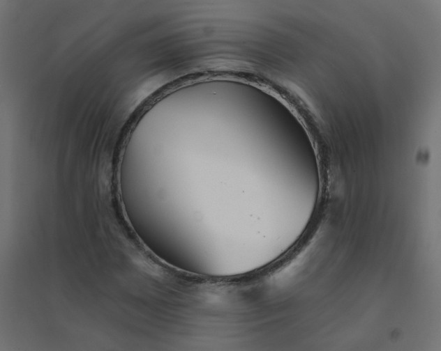 X0000094461065200711211535