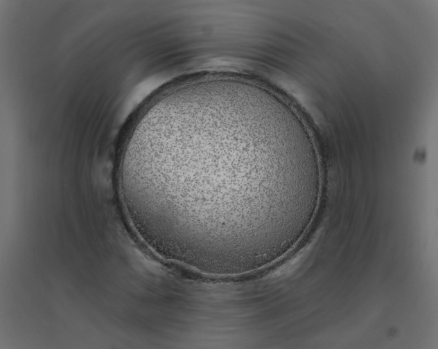 X0000094461066200711211535