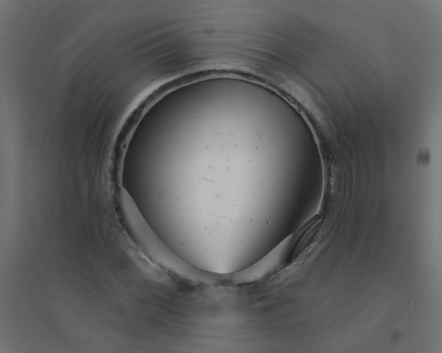 X0000094461068200711211535