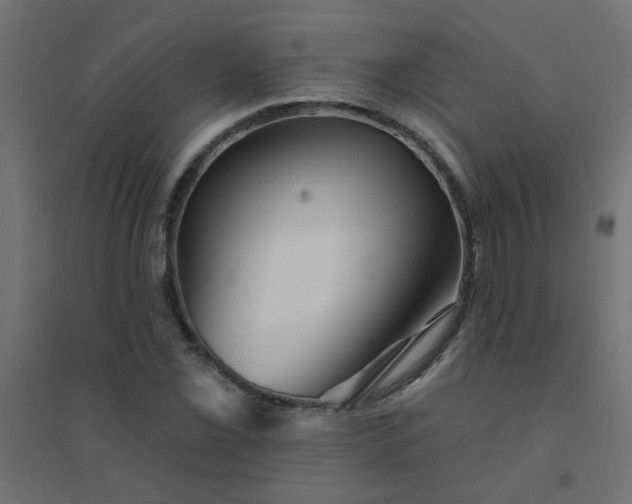 X0000094461069200711211535