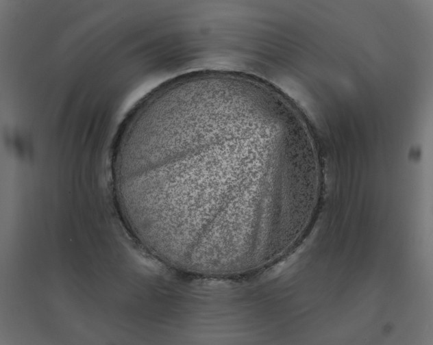X0000094461070200711211535