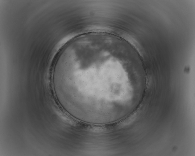 X0000094461074200711211535