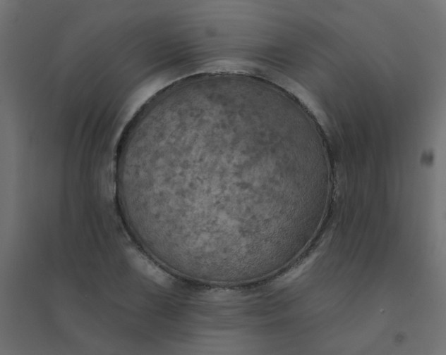 X0000094461075200711211535